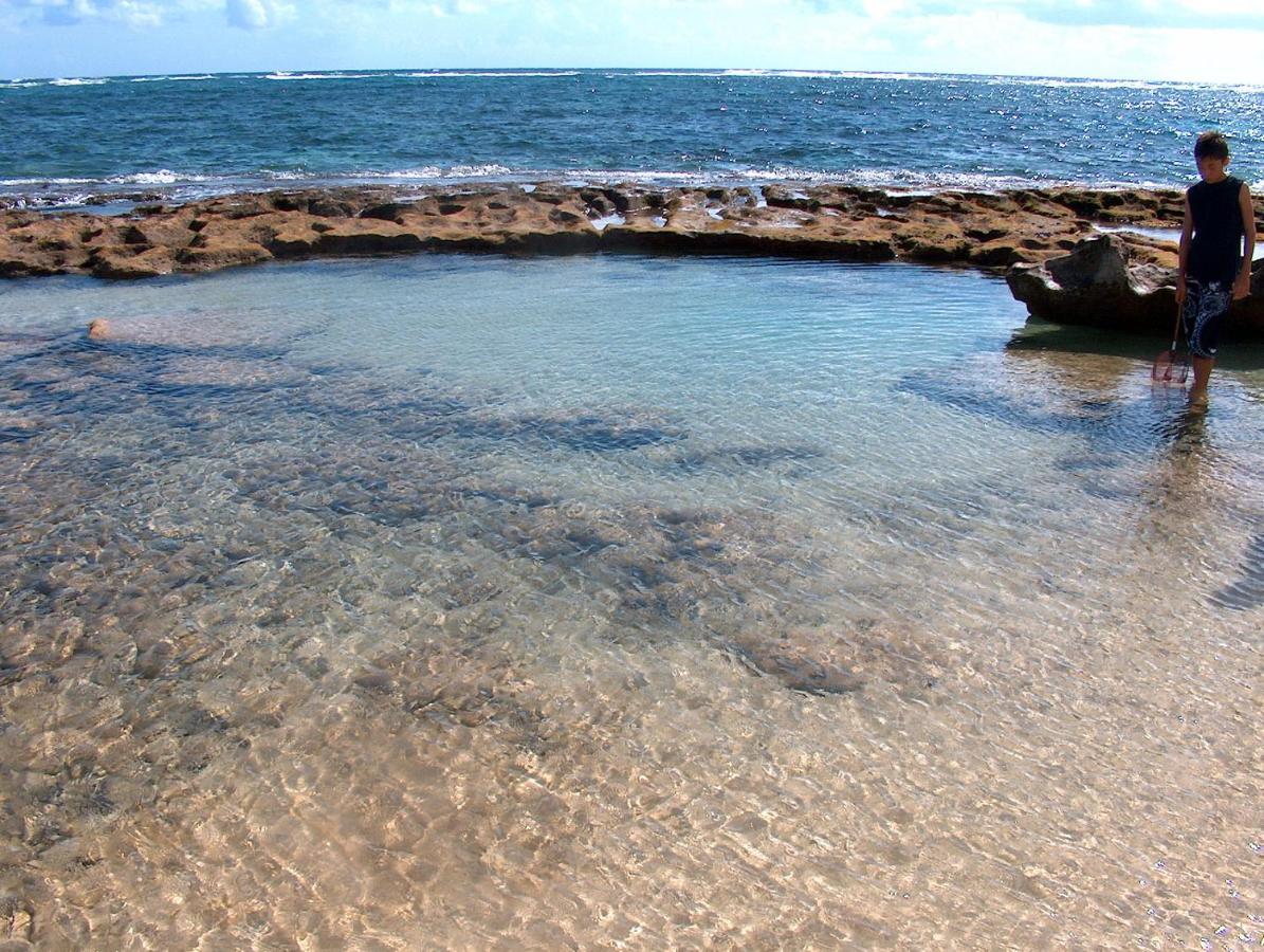 Itʻs All About The Beach Villa Hau'ula Dış mekan fotoğraf